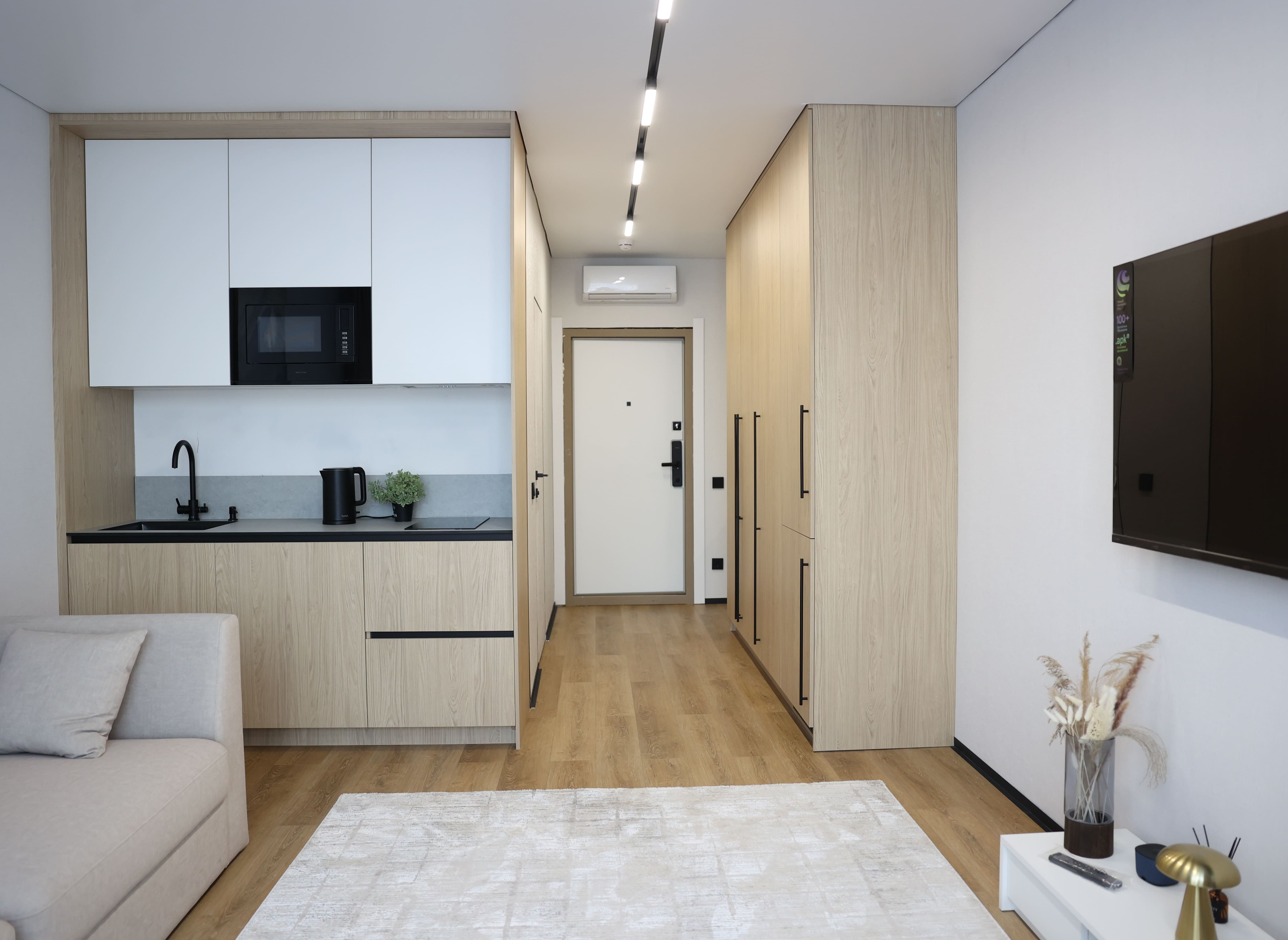 Планировка студии 24.6 м²